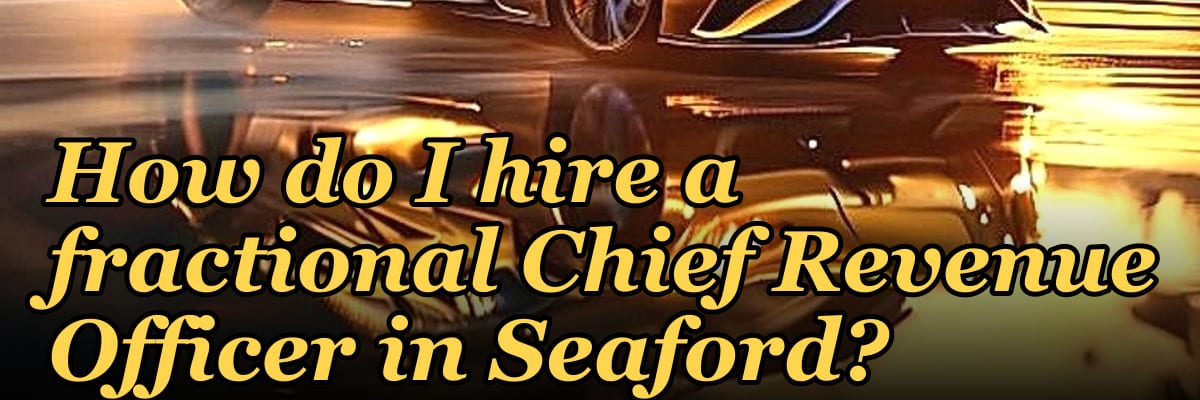 How do I hire a fractional Chief Revenue Officer in Seaford?