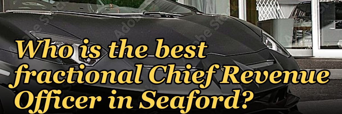 Who is the best fractional Chief Revenue Officer in Seaford?