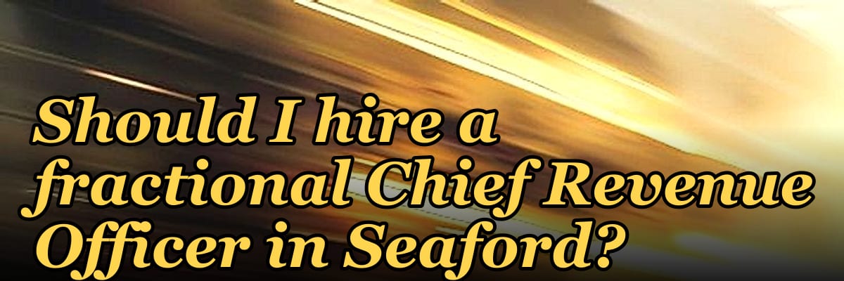 Should I hire a fractional Chief Revenue Officer in Seaford?