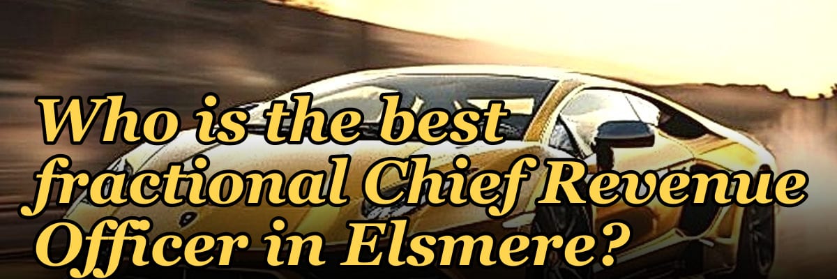 Who is the best fractional Chief Revenue Officer in Elsmere?