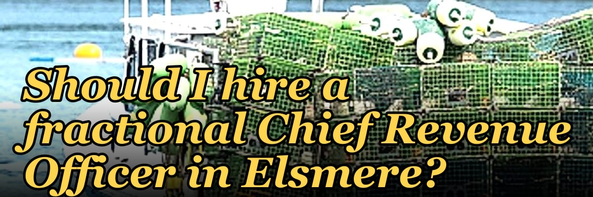 Should I hire a fractional Chief Revenue Officer in Elsmere?