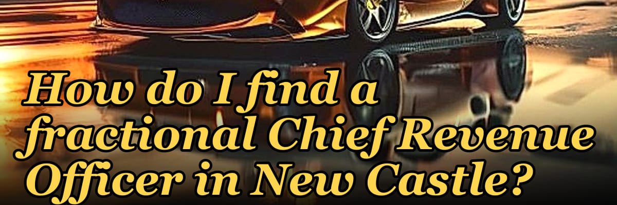 How do I find a fractional Chief Revenue Officer in New Castle?