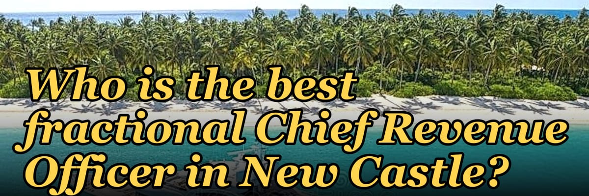 Who is the best fractional Chief Revenue Officer in New Castle?