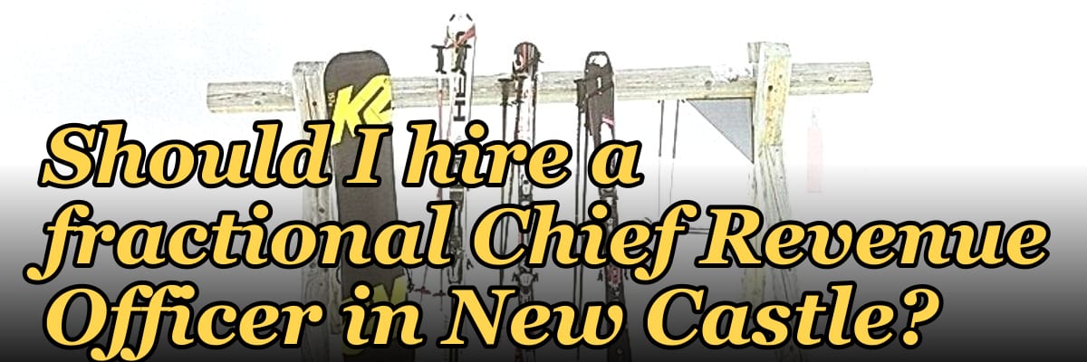 Should I hire a fractional Chief Revenue Officer in New Castle?