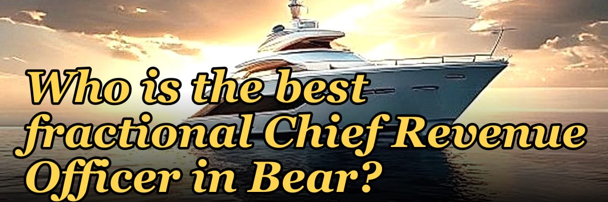 Who is the best fractional Chief Revenue Officer in Bear?