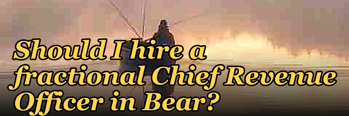 Should I hire a fractional Chief Revenue Officer in Bear?