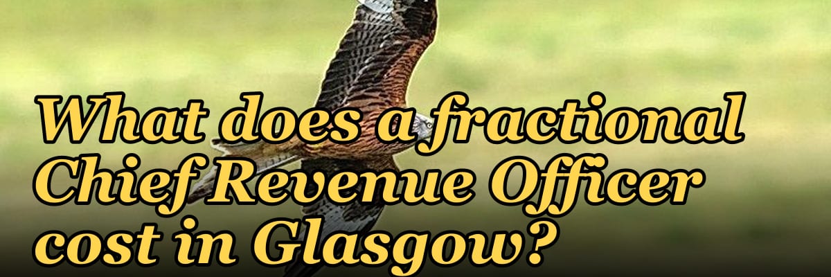 What does a fractional Chief Revenue Officer cost in Glasgow?