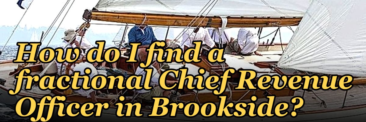 How do I find a fractional Chief Revenue Officer in Brookside?