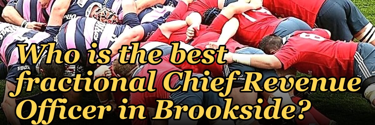 Who is the best fractional Chief Revenue Officer in Brookside?