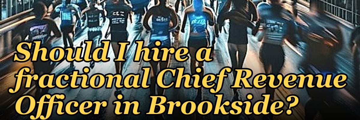 Should I hire a fractional Chief Revenue Officer in Brookside?