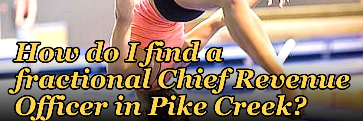 How do I find a fractional Chief Revenue Officer in Pike Creek?