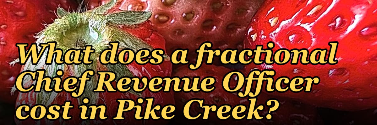 What does a fractional Chief Revenue Officer cost in Pike Creek?