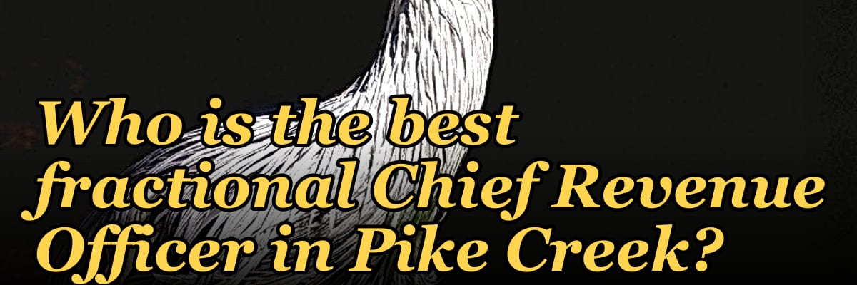 Who is the best fractional Chief Revenue Officer in Pike Creek?