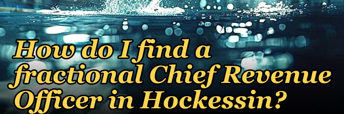 How do I find a fractional Chief Revenue Officer in Hockessin?