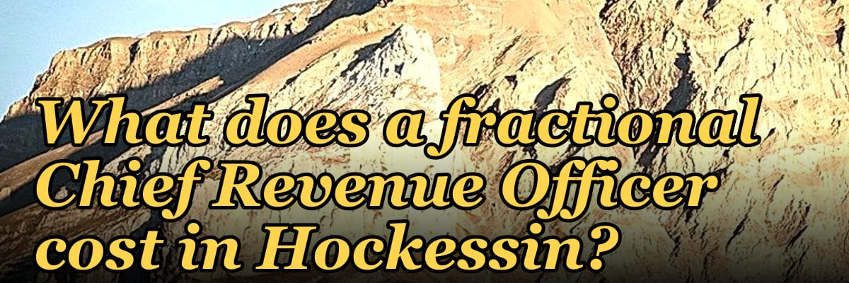 What does a fractional Chief Revenue Officer cost in Hockessin?
