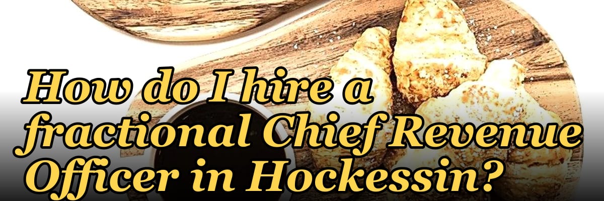 How do I hire a fractional Chief Revenue Officer in Hockessin?