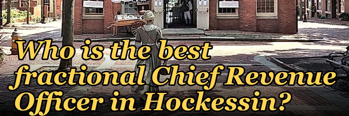Who is the best fractional Chief Revenue Officer in Hockessin?