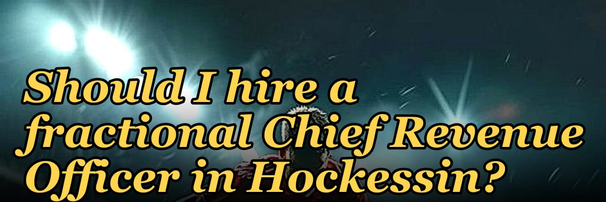 Should I hire a fractional Chief Revenue Officer in Hockessin?
