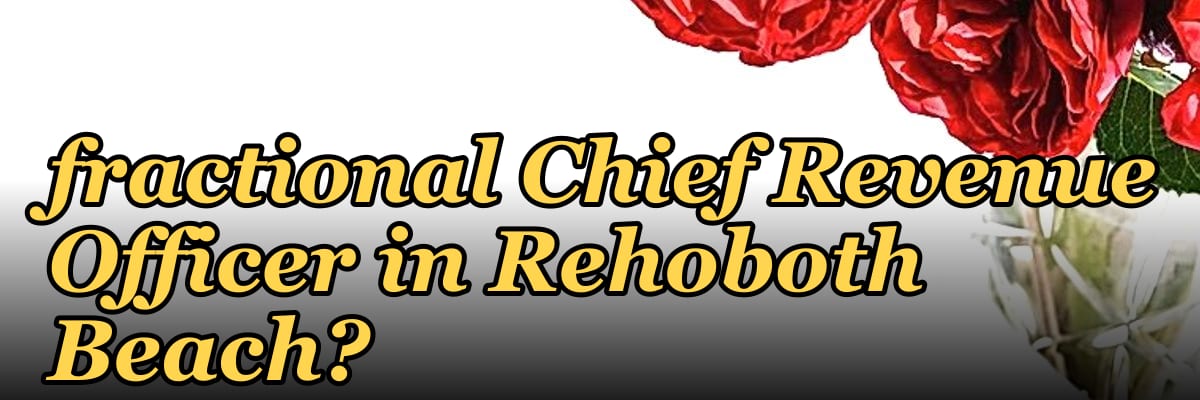 How do I find a fractional Chief Revenue Officer in Rehoboth Beach?