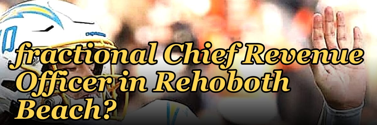 Who is the best fractional Chief Revenue Officer in Rehoboth Beach?