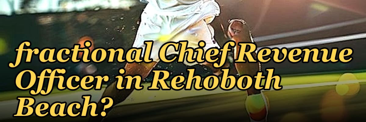 Should I hire a fractional Chief Revenue Officer in Rehoboth Beach?