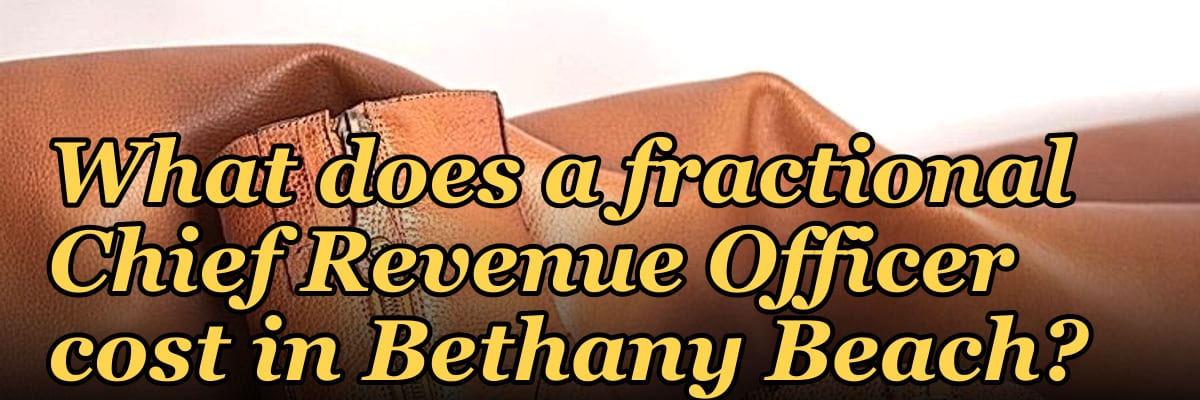 What does a fractional Chief Revenue Officer cost in Bethany Beach?