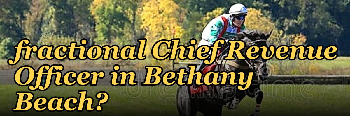 How do I hire a fractional Chief Revenue Officer in Bethany Beach?