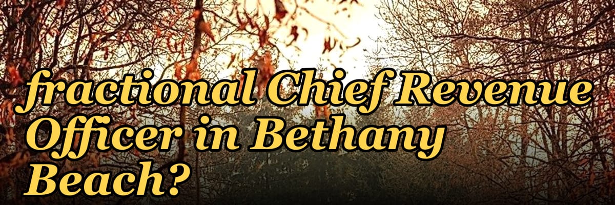Who is the best fractional Chief Revenue Officer in Bethany Beach?