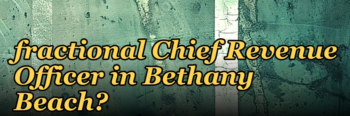 Should I hire a fractional Chief Revenue Officer in Bethany Beach?