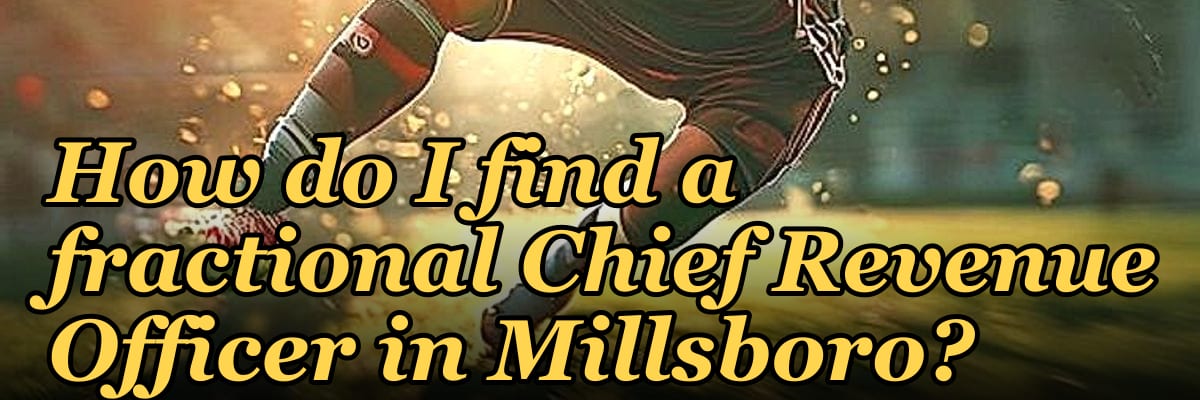 How do I find a fractional Chief Revenue Officer in Millsboro?