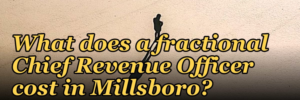 What does a fractional Chief Revenue Officer cost in Millsboro?