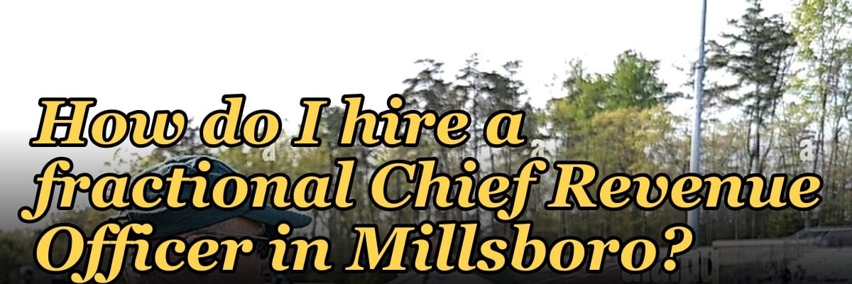 How do I hire a fractional Chief Revenue Officer in Millsboro?