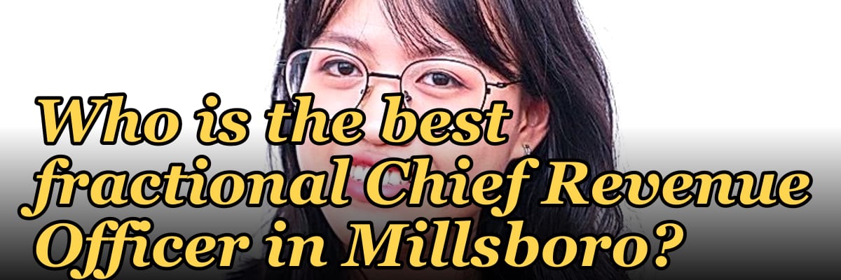 Who is the best fractional Chief Revenue Officer in Millsboro?