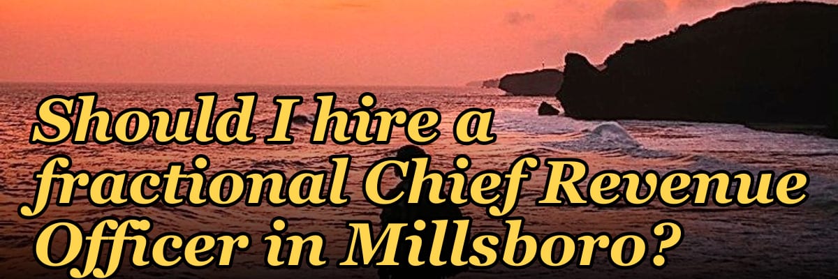 Should I hire a fractional Chief Revenue Officer in Millsboro?