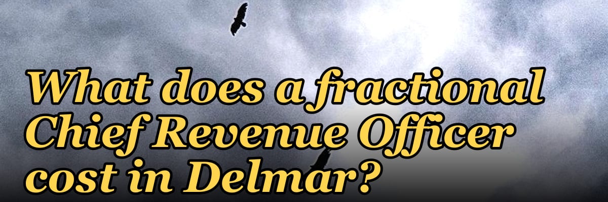 What does a fractional Chief Revenue Officer cost in Delmar?