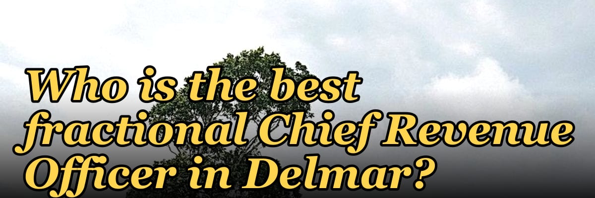 Who is the best fractional Chief Revenue Officer in Delmar?