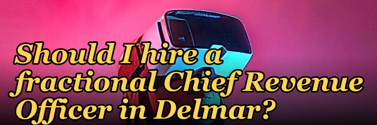 Should I hire a fractional Chief Revenue Officer in Delmar?