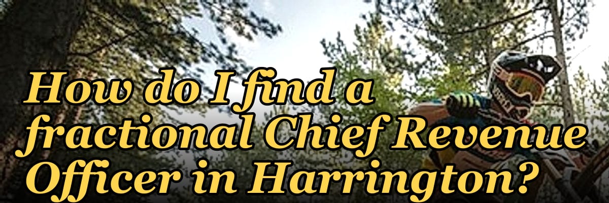 How do I find a fractional Chief Revenue Officer in Harrington?
