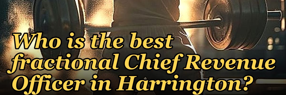 Who is the best fractional Chief Revenue Officer in Harrington?