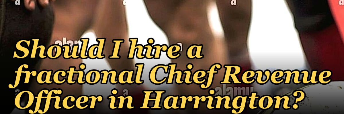 Should I hire a fractional Chief Revenue Officer in Harrington?