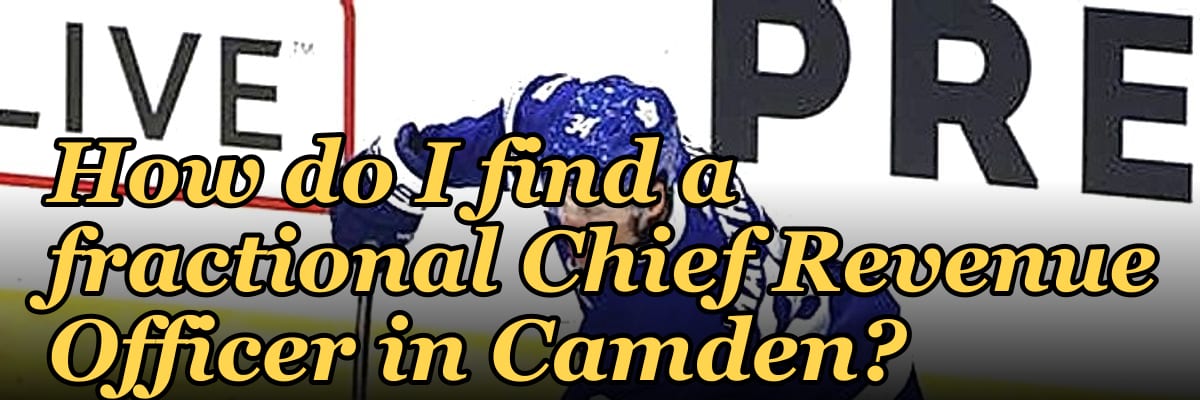 How do I find a fractional Chief Revenue Officer in Camden?