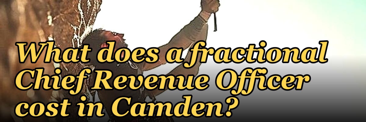 What does a fractional Chief Revenue Officer cost in Camden?