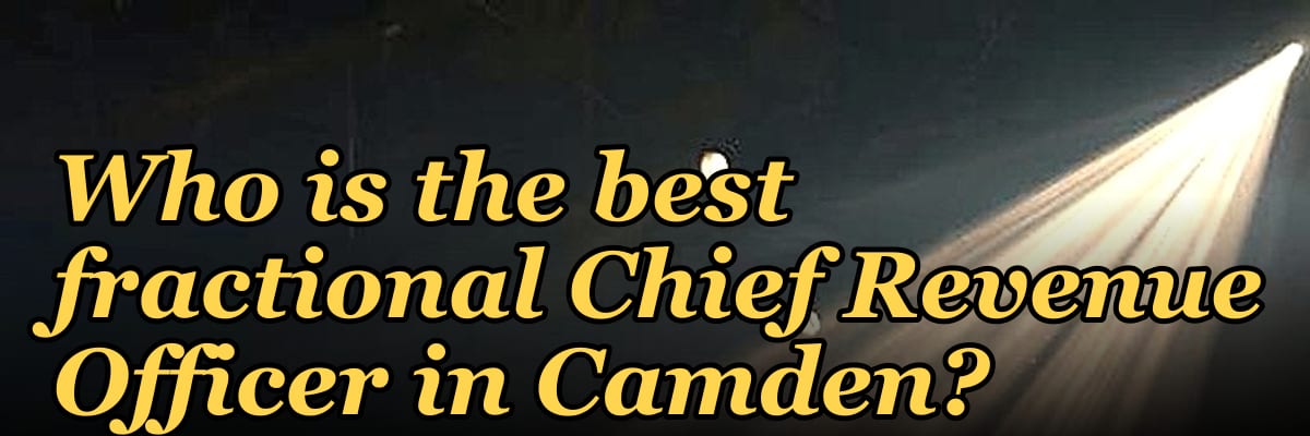 Who is the best fractional Chief Revenue Officer in Camden?