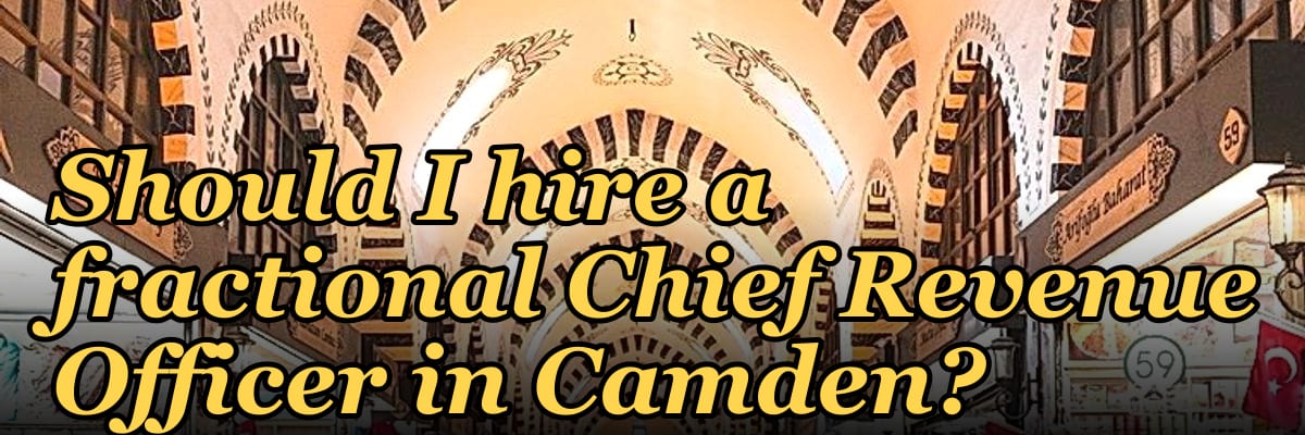 Should I hire a fractional Chief Revenue Officer in Camden?