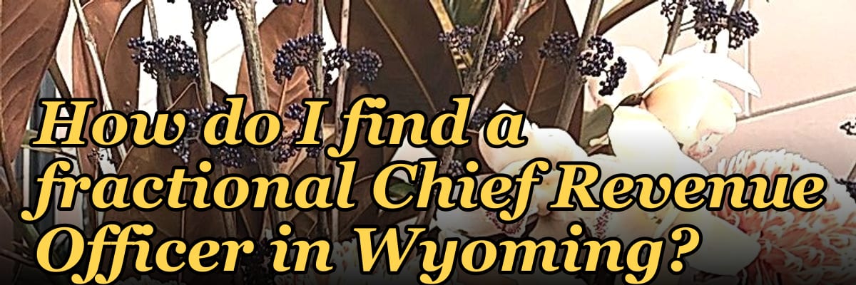 How do I find a fractional Chief Revenue Officer in Wyoming?