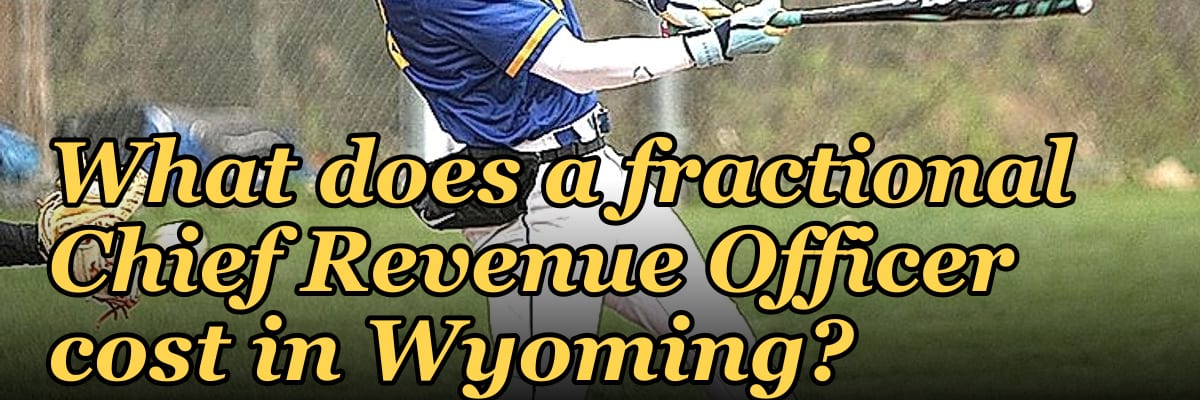 What does a fractional Chief Revenue Officer cost in Wyoming?