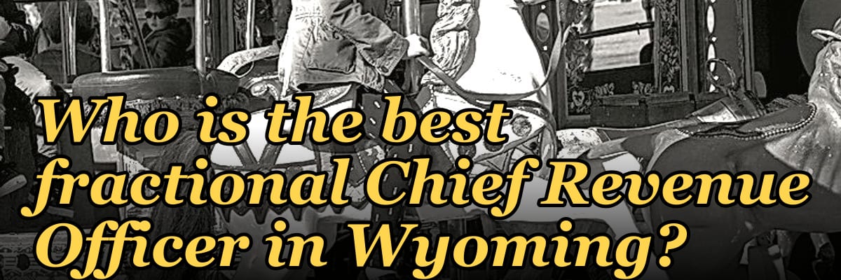 Who is the best fractional Chief Revenue Officer in Wyoming?