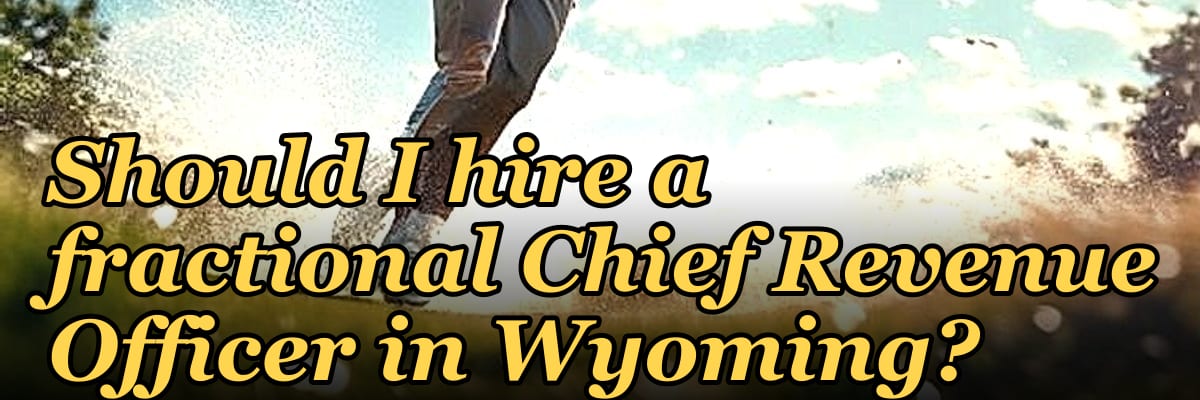 Should I hire a fractional Chief Revenue Officer in Wyoming?