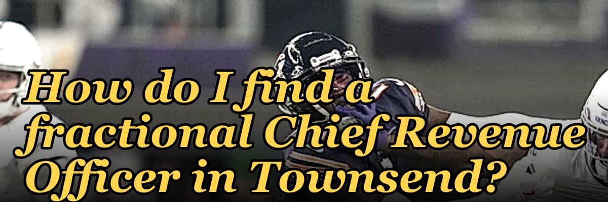 How do I find a fractional Chief Revenue Officer in Townsend?