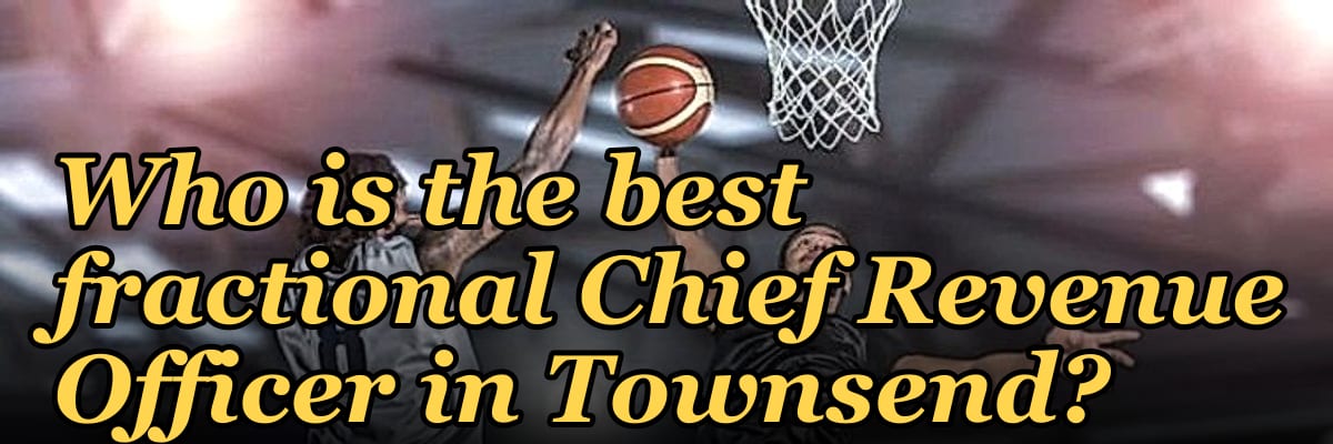 Who is the best fractional Chief Revenue Officer in Townsend?